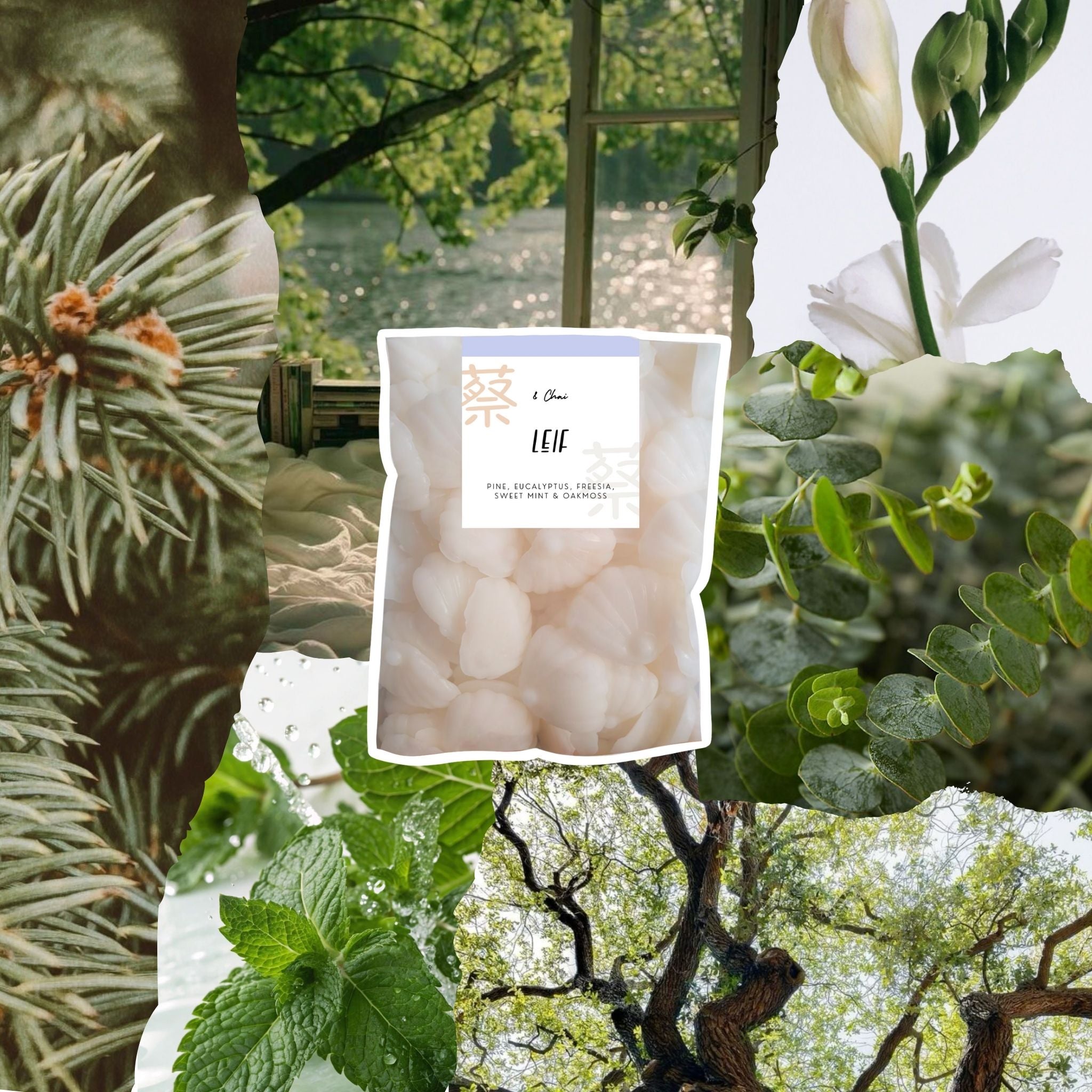 Leif Soy Melts | Crisp Pine & Eucalyptus Scent