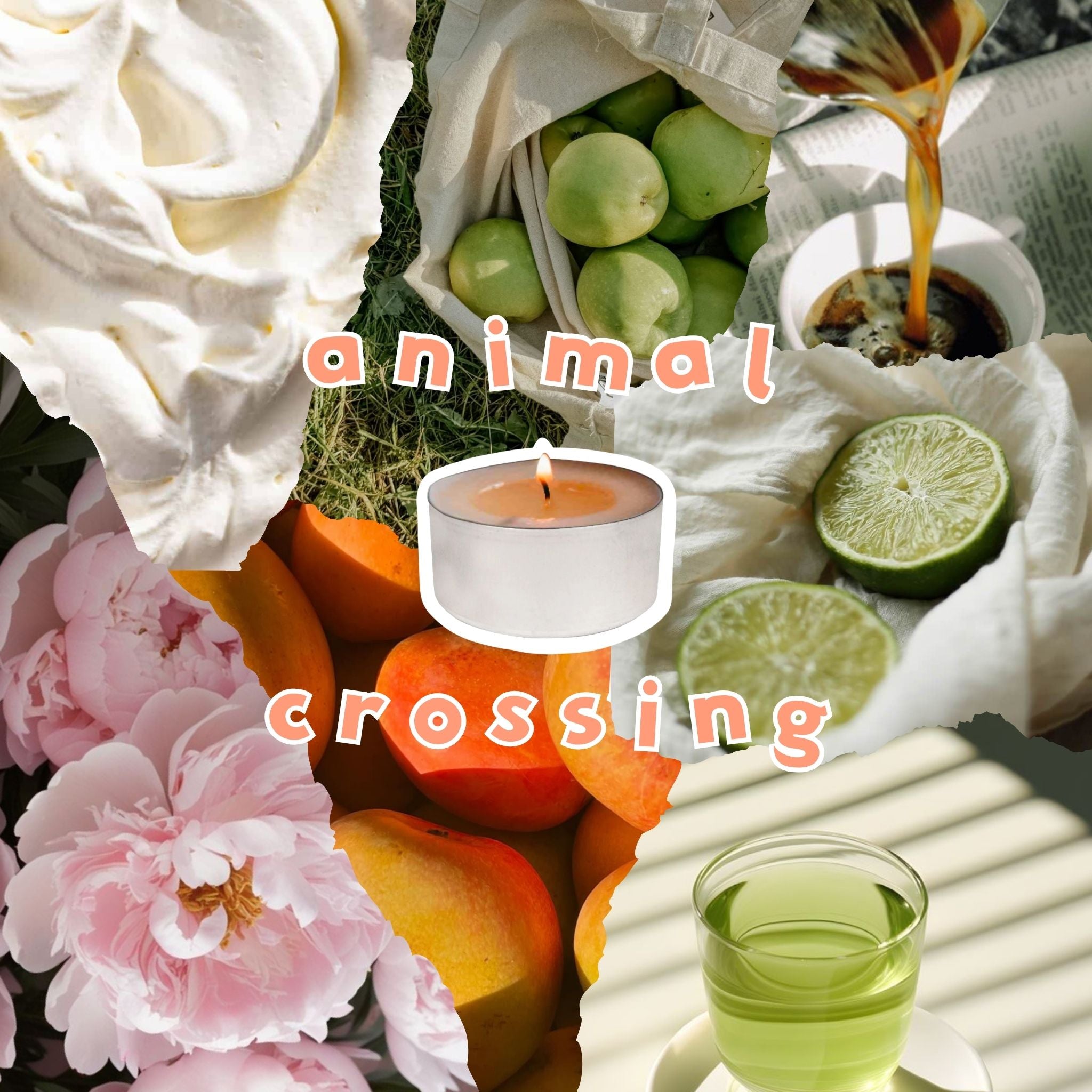 Soy Tealights – The Animal Crossing Collection